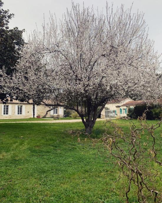 L'Ocean 20 Villa Queyrac Kültér fotó